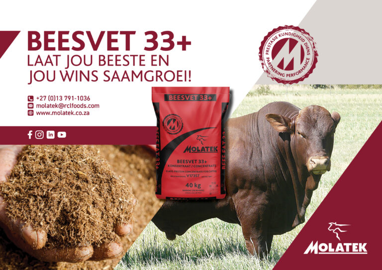 Beefmaster SA – Beefmaster Cattle Breeders Society of South Africa